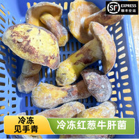 知鲜之鲜见手青云南新鲜【空运次日达】红葱牛肝菌云南野生鸡枞菌 冰鲜冷冻精选红葱见手青 1000g 精选红葱见手青(zui香天花板)