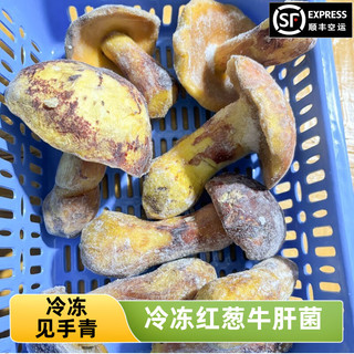 知鲜之鲜见手青云南新鲜【空运次日达】红葱牛肝菌云南野生鸡枞菌 冰鲜冷冻精选红葱见手青 1000g 精选红葱见手青（zui香天花板）