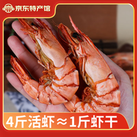 海鲜颂九节虾干即食大虾干烤虾干对虾干特大斑节虾干海产干货风干大烤虾 小号斑节虾干250g