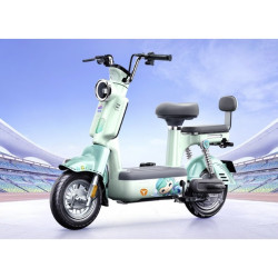 雅迪 冠能摩登新国标电动自行车