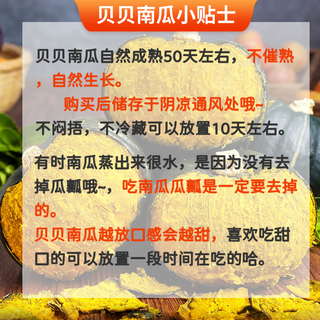 京觅山东贝贝南瓜 净重4.5斤 单果290g起 板栗香小南瓜 农场源头直发 山东贝贝南瓜净重 4.5斤