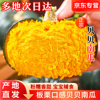 京觅山东贝贝南瓜 净重4.5斤 单果290g起 板栗香小南瓜 农场源头直发 山东贝贝南瓜净重 4.5斤