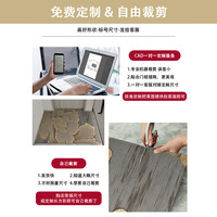 地垫入户门进门地毯门口家用门垫防滑客厅轻奢高级玄关脚垫可裁剪 暖阳