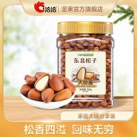 洽洽 松子 500g*1罐