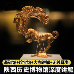 有含门票套餐！陕西历史博物馆基础馆珍宝馆深度人工精品讲解团