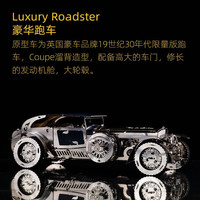 TECHING乌克兰TimeforMachine 金属拼装机械传动模型3d立体拼图创意玩具 豪华跑车