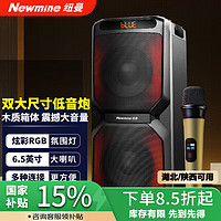 纽曼 A2蓝牙音箱大功率户外广场舞家用商超双6.5吋喇叭低音炮电木吉他民谣乐器音箱麦克风