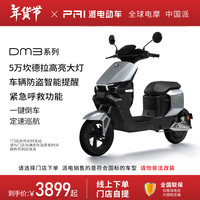 派电 PAI 智能电动车百公里长续航两轮车 DM3 到店选颜色 DM3 48v24Ah纯电45-100km