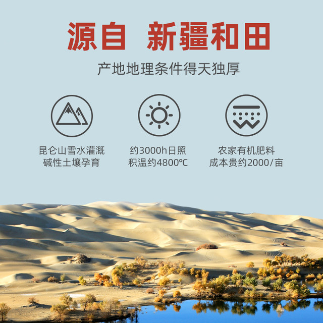 西域良品 新疆挂干枣一级