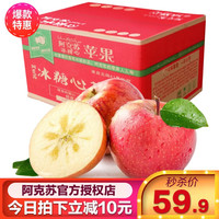 源外 新疆阿克苏冰糖心 10斤带箱优选果 新鲜水果生鲜送礼红富士 优选大果 (约18个左右)
