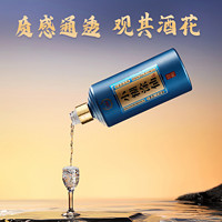 小糊涂仙 珍酿 52%vol 浓香型白酒