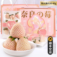 樱三少淡雪草莓白粉色单果35-50g草莓水果奶油圣诞新年货 精选淡雪草莓 6粒礼盒装单盒250g