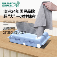 洁碧先生 一次性懒人抹布厨房抹布抽取式洗碗布周抛加厚加大干湿两用洗碗巾 灰色28*28cm