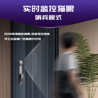 凯迪仕 智能门锁 Q6pro-实时智能监控+猫眼大屏
