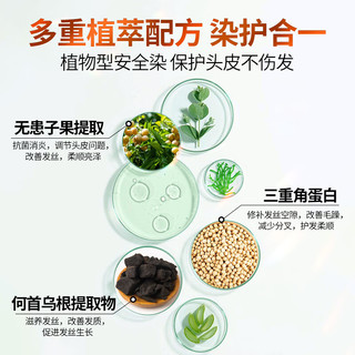 Spes诗裴丝 植物泡泡染发膏90g（深栗子色）遮盖白头发男女通用染发剂 【盖白效果好】深栗子色S3340