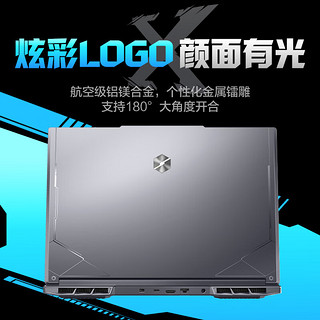 极光X 16英寸 游戏本 灰色（酷睿i7-12800HX、RTX 4060 8G、16GB、512GB SSD、2.5K、165HZ）