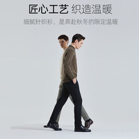 【远红辐射升温】SHANSHAN杉杉针织衫男士秋冬半高领毛衣打底衫男