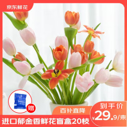京东鲜花 郁金香鲜花盲盒 20枝 云南基地源头直发