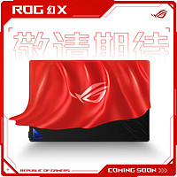 ROG 玩家国度 幻X 2025 13.4英寸 二合一游戏本 锐龙AI Max 390