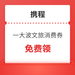 春节出行用！一大波文旅消费券汇总