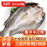往牧 三去开背海鲈鱼/河鲈鱼 鲜活冷冻 去鳃去鳞 生鲜鱼类 海鲜水产 600g-500g*5条