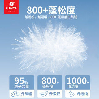 君羽户外羽绒半袖马甲情侣超轻款800蓬松度防寒保暖鹅绒背心 G52042 女款-  推荐男135-155斤/女105-115斤
