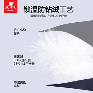 君羽户外羽绒半袖马甲情侣超轻款800蓬松度防寒保暖鹅绒背心 G52042 女款-  推荐男135-155斤/女105-115斤