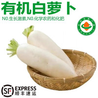 诸氏橙品【有机】白萝卜 新鲜现挖白心萝卜 可生吃凉拌百搭有机蔬菜 【有机白萝卜】 5斤 家庭装