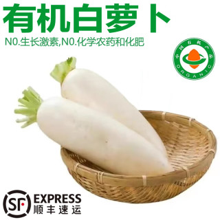 诸氏橙品【有机】白萝卜 新鲜现挖白心萝卜 可生吃凉拌百搭有机蔬菜 【有机白萝卜】 10斤 实惠齐享装