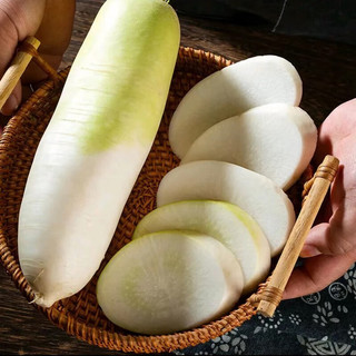 诸氏橙品【有机】白萝卜 新鲜现挖白心萝卜 可生吃凉拌百搭有机蔬菜 【有机白萝卜】 10斤 实惠齐享装