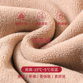 雪中飞 SNOWFLYING【羊毛蚕丝护膝】秋男士保暖裤加绒加厚护膝棉裤秋裤防寒L 藏青 L【105-115斤】