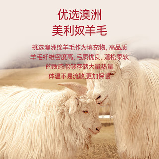 雪中飞 SNOWFLYING【羊毛蚕丝护膝】秋男士保暖裤加绒加厚护膝棉裤秋裤防寒L 藏青 L【105-115斤】