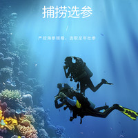 【同仁堂品牌】北京同仁堂净制海参180g大连年货礼盒