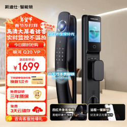 凯迪仕 Q20 VP 哨兵猫眼大屏夜视 智能门锁