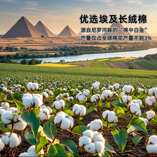 LOFTEX/亚光 埃及长绒棉A类毛巾 粉蓝2条装