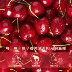 佳沃 JOYVIO 智利原箱车厘子5斤新鲜水果J级礼盒