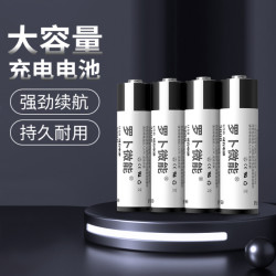罗卜微能 USB-5号锂电池 2节装