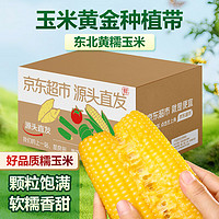 京鲜生 Mr.Seafood GREENSEER 绿鲜知 新鲜甜玉米 黄粒 1kg 简装 新鲜蔬菜 云南产地