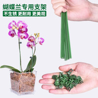 花多多 蝴蝶兰支架夹子专用固定造型神器园艺花卉植物支撑杆桌面新款倒伏