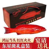 鲜尚珍深海东星斑礼盒过年年货长辈生鲜新鲜鲜活冷冻高档海鲜水产 1斤-1.2斤/ 2条礼盒装