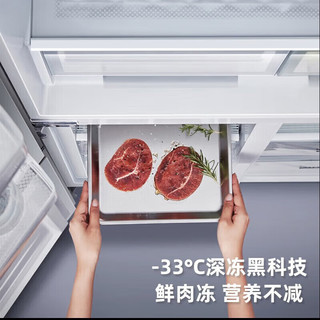 格力 BCD-542WPSCL 深冻-33℃ 变频三档变温母婴净味超薄嵌入式冰箱