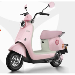 雅迪 Q15-M电动车