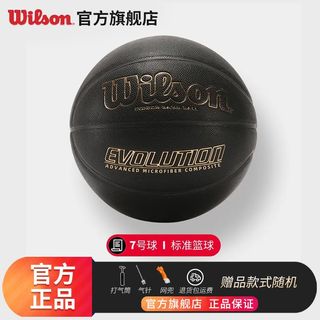 Wilson威尔胜篮球成年人专业训练比赛超纤7号篮球Evolution