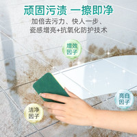 雅彩洁浴室清洁剂卫生间水垢清除剂去污渍瓷砖玻璃水垢清洁HM