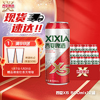 西夏啤酒XIXIAX5拉格啤酒年货送礼