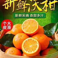 云南沃柑新鲜橘子水果应季水果薄皮桔子带箱5斤装