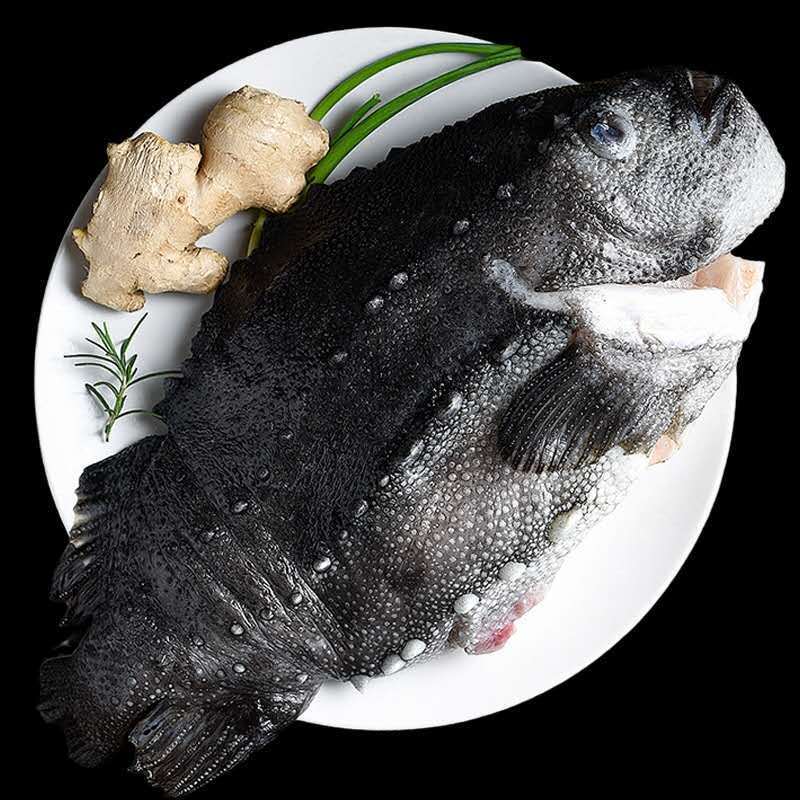 御泸鲜湘 4-5斤1条特大海参斑鱼 海参鱼天然海捕肉质香醇大石斑鱼 4斤-5斤(一条装)特大鱼 已去内脏