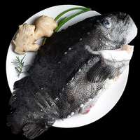 御泸鲜湘 4-5斤1条特大海参斑鱼 海参鱼天然海捕肉质香醇大石斑鱼 4斤-5斤(一条装)特大鱼 已去内脏