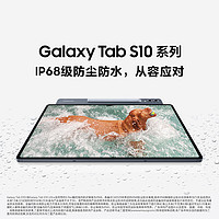 三星 SAMSUNG S10 Ultra 14.6英寸平板电脑/AI智享学习办公/含S Pen 12GB+256GB 星耀银WIFI