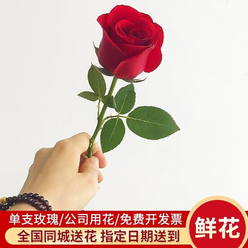 来一客鲜花速递公司活动用花全国同城配送单支玫瑰（10支起拍） 单支玫瑰（10支起送）